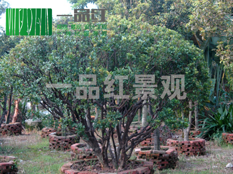 东莞园林景观工程设计