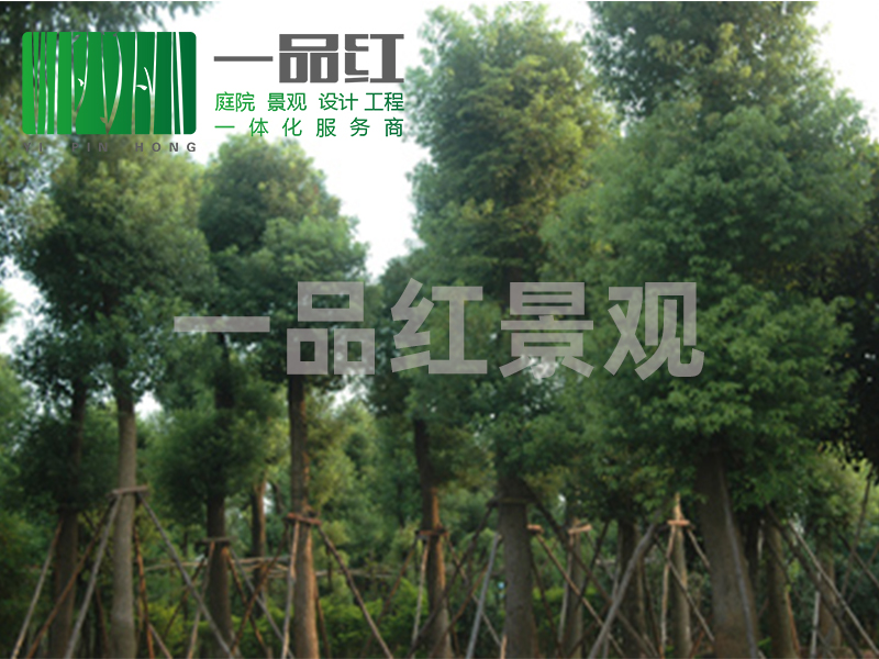 东莞园林景观工程设计